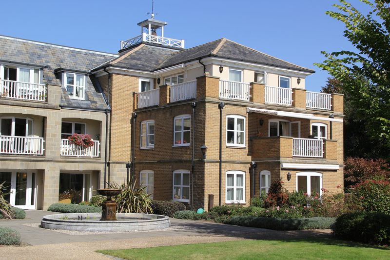 Main Image